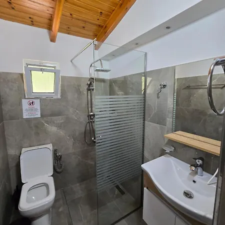 Pansiyon Arthur's 4apartments Borş