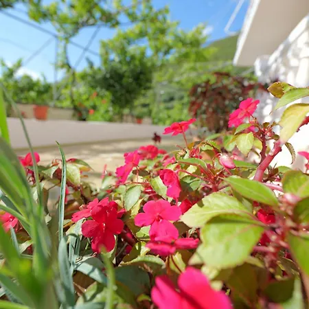 Homestay Arthur's 4apartments
