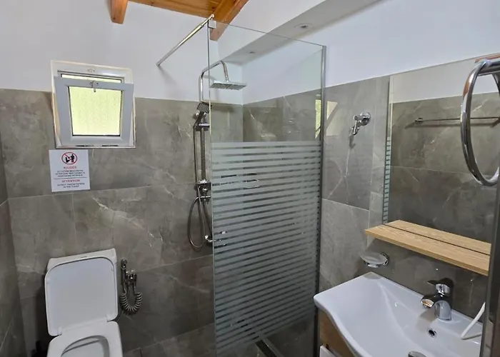 Pansiyon Arthur's 4apartments Borş